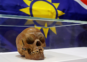 A human skull from the Herero and ethnic Nama people is displayed during a ceremony in the auditorium of Berlin's Charite hospital on September 30, 2011. 