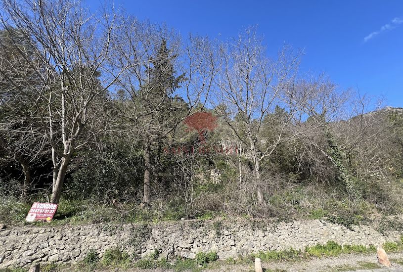  Vente Terrain à bâtir - 4 580m² à Saint-Guilhem-le-Désert (34150) 