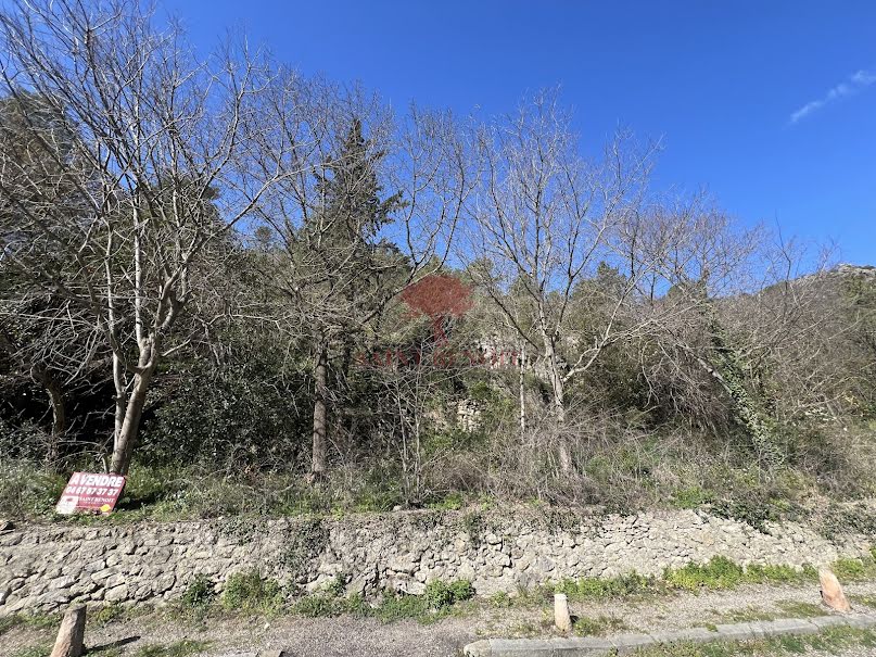 Vente terrain  4580 m² à Saint-Guilhem-le-Désert (34150), 40 000 €