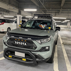 RAV4 MXAA54