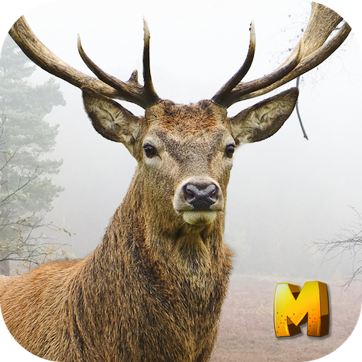 Deer Hunting 3D Sniper Shooter 動作 App LOGO-APP開箱王