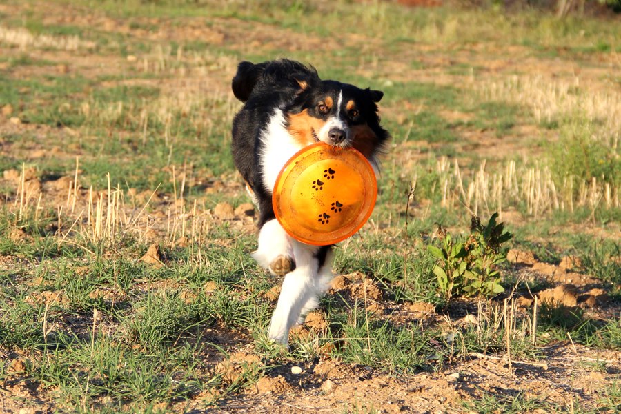 Giocando nel parco di antonella.virelli