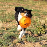 Giocando nel parco di 