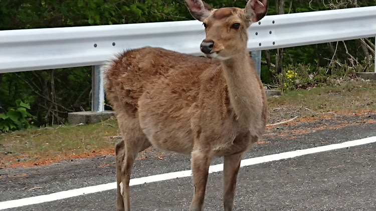 の投稿画像3枚目