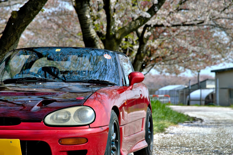 カプチーノの新潟・桜・散りゆく桜・GT7・オープンドライブに関するカスタム事例の投稿画像2枚目
