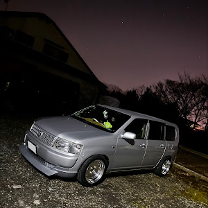 プロボックスバン NCP51V