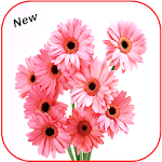 Cover Image of ดาวน์โหลด Beautiful All Flowers Photo Pics Free 1.0 APK