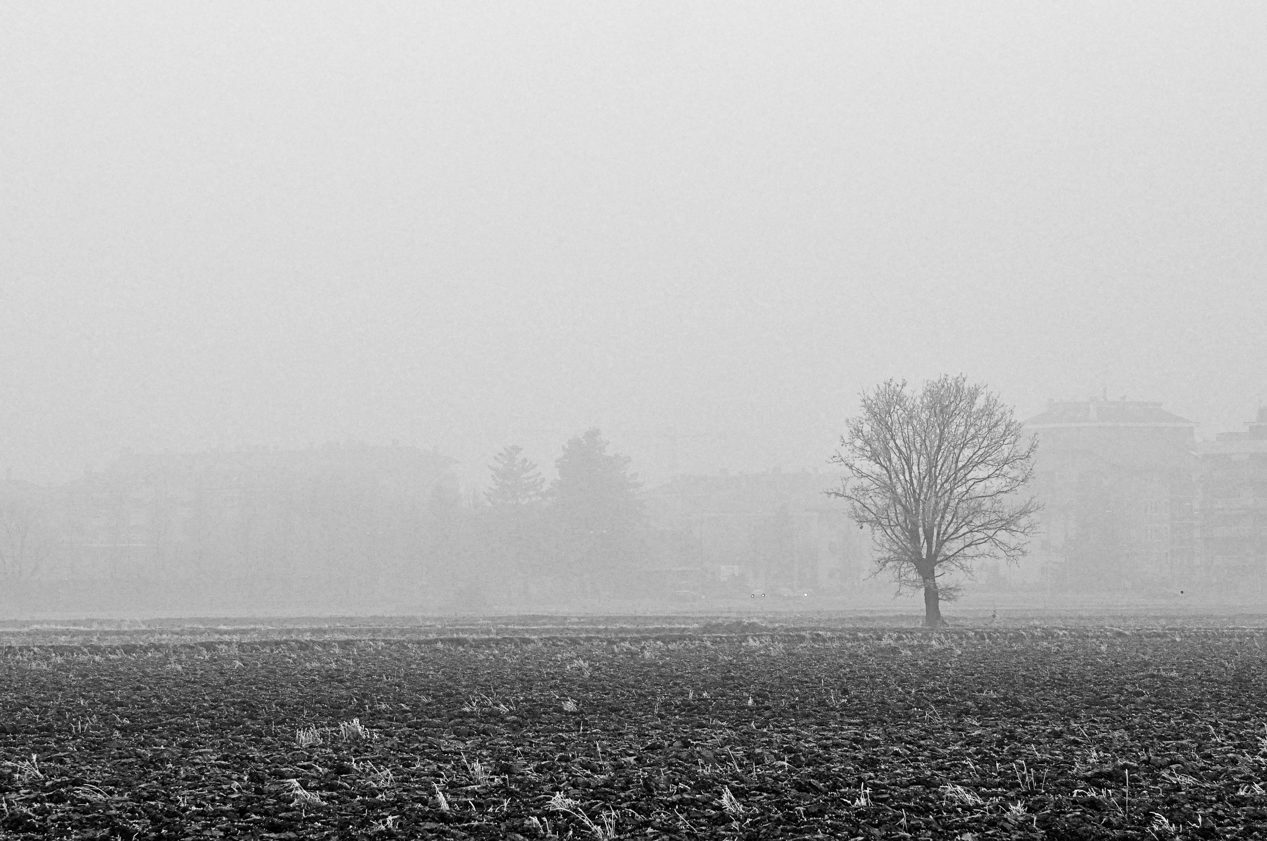 Nebbia a Milano di gianfranco_cosmai