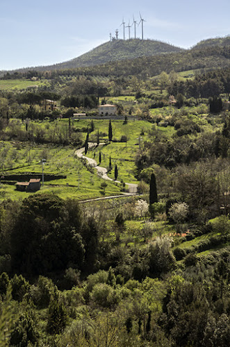 Pomaia di ilciclonelatino