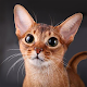 Talking Abyssinian Cat Download on Windows