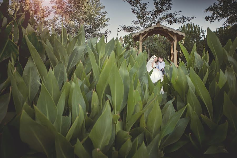 Wedding photographer Aslı Toy (fotografsandigi). Photo of 7 October 2016