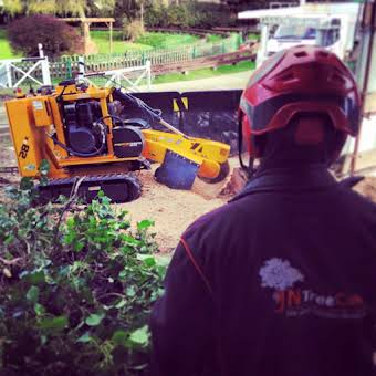 Our Stump grinder Fleet. album cover