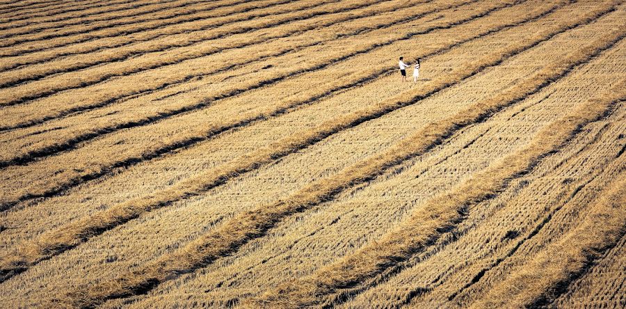 Düğün fotoğrafçısı Todor Batinkov (batinkov). 25 Ocak 2016 fotoları