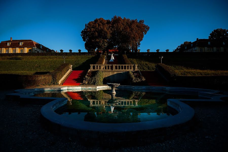 Fotógrafo de casamento Nicolae Boca (nicolaeboca). Foto de 18 de março 2019