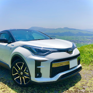 C-HR ZYX11