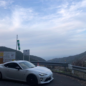 86 ZN6