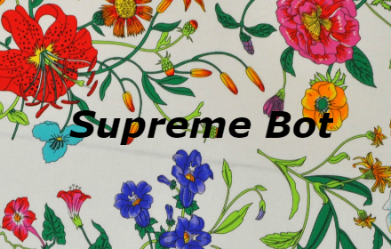 Auto Supreme Preview image 0