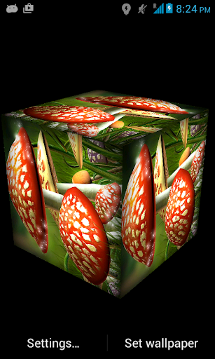 免費下載個人化APP|3D Mushroom Garden LWP app開箱文|APP開箱王