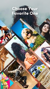 TikTok Wall Picture 5