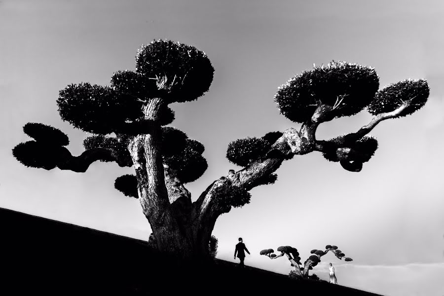 Wedding photographer Matteo Lomonte (lomonte). Photo of 13 July 2019