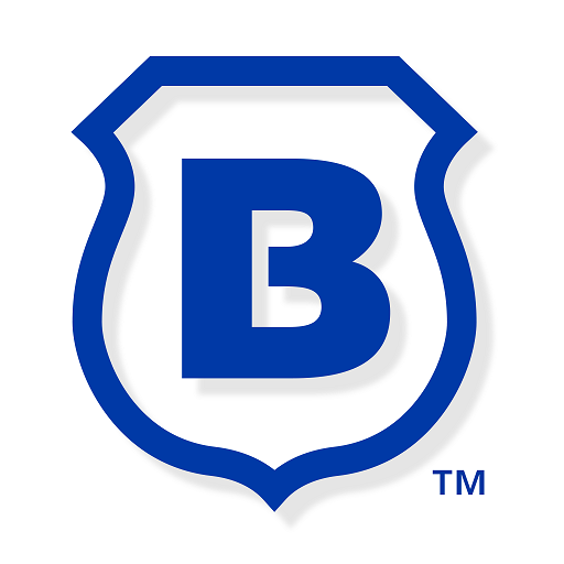 brinks home security google home