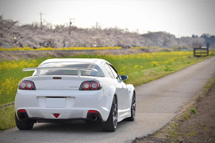 RX-8のCrystal 8・サクラと愛車・桜と菜の花と愛車・4月9日はRX-8の日・デビュー記念日に関するカスタム事例の投稿画像3枚目