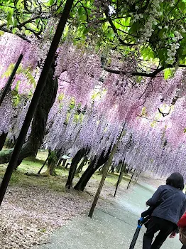 恋のお話