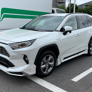 RAV4 AXAH54