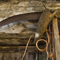 Falcione e corno di bue portacote  di 