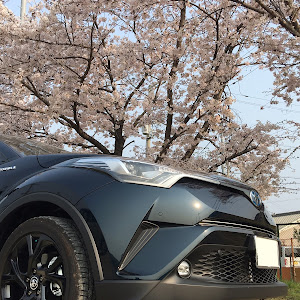 C-HR ZYX10