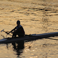 remare nell'oro di 