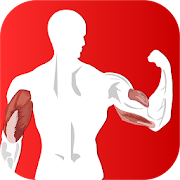 Perfect Arm workout challenge  Icon