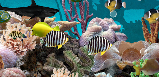 3D Aquarium Live Wallpaper