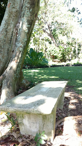 David Wilson Memorial Bench