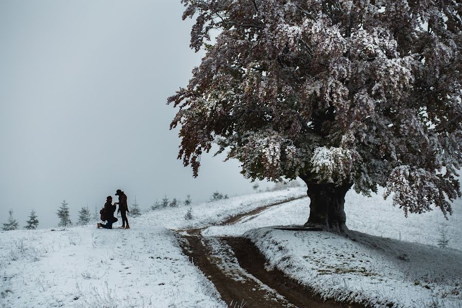 Wedding photographer Petr Molla (mollap). Photo of 29 January 2020