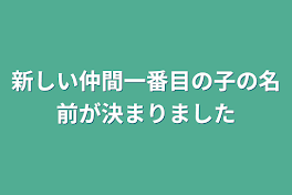 新しい仲間一番目の子の名前が決まりました