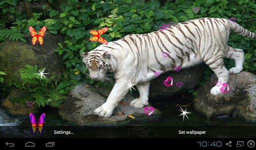 Bengal Tiger 3D LWP