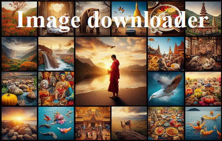 Image Downloader - Save all the images small promo image