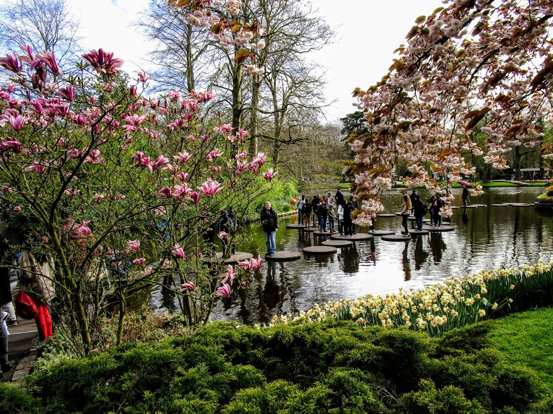 Парк Keukenhof, Ouddorp и Rotterdam "на закуску" - апрель 2017