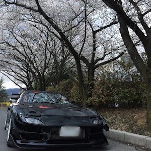 RX-7