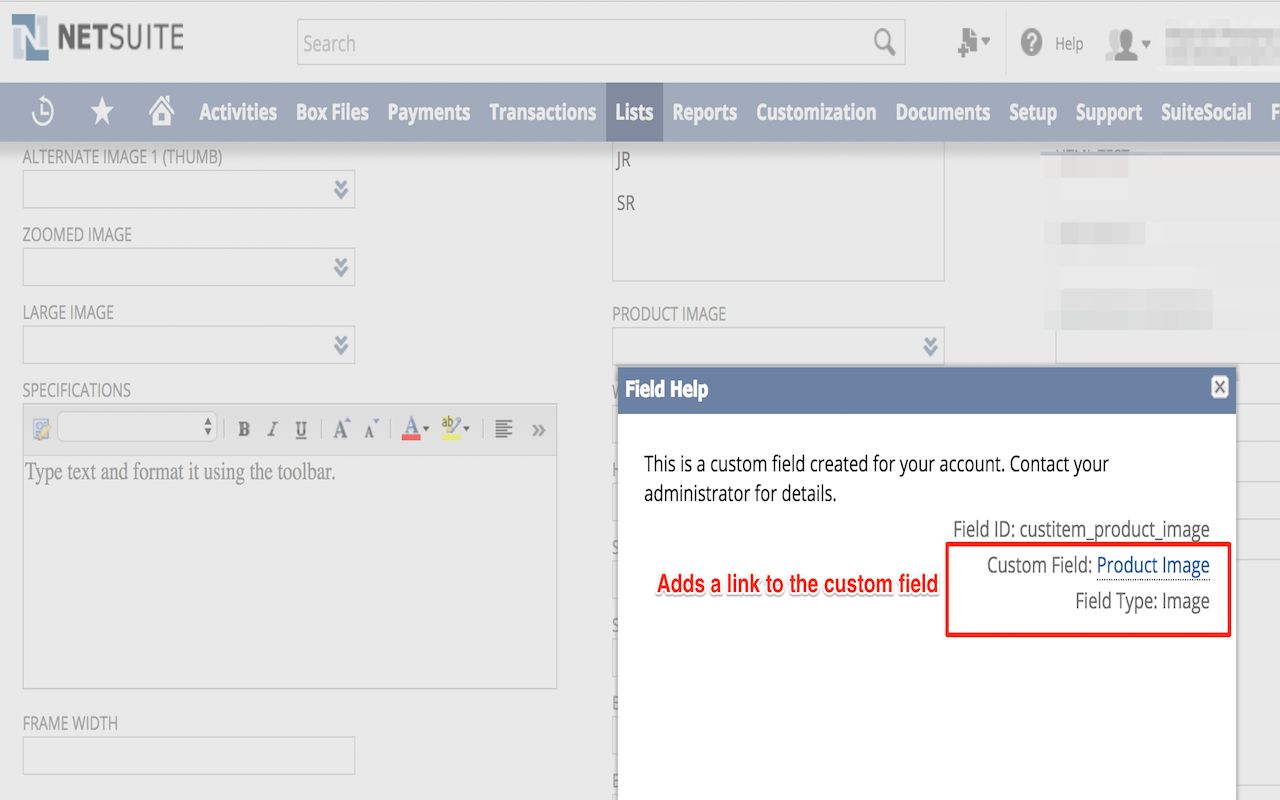 NetSuite Advanced Field Help Preview image 2