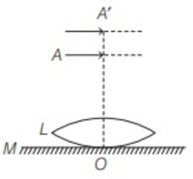 Refraction Of Light By Spherical Lenses (Convex Lens And Concave Lens)