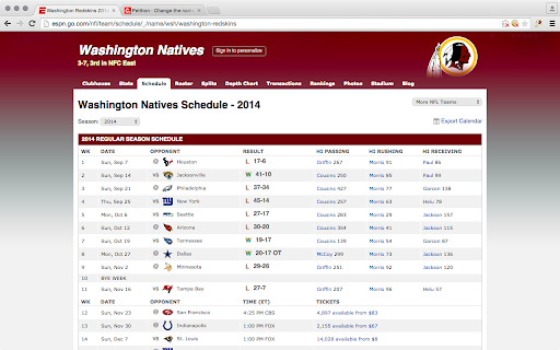 Redskins Web Skin