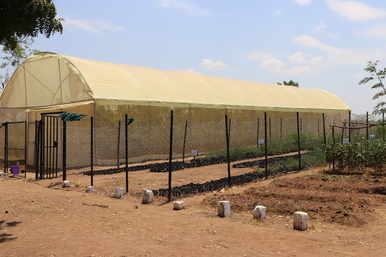 A picture of a greenhouse constructed at Ngahya village in Magu district of Tanzania with support from the Adapting to Climate Change programme implemented by the Lake Victoria Basin Commission. The project is funded by Adaptation Fund through UNEP.