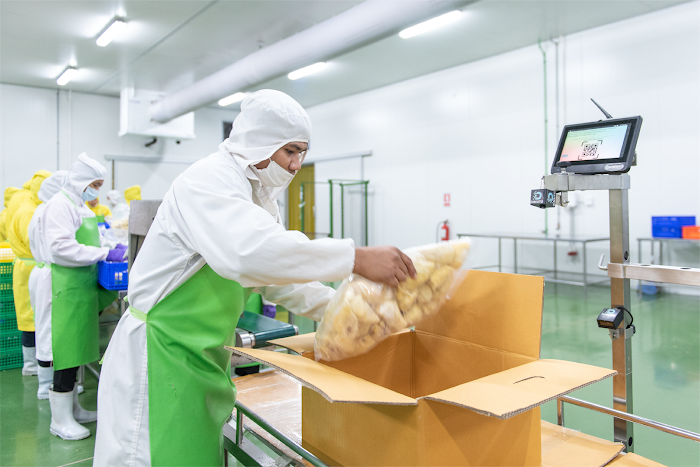 Agriculture workers packing produce