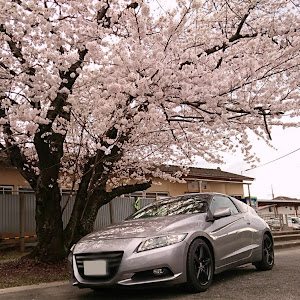 CR-Z