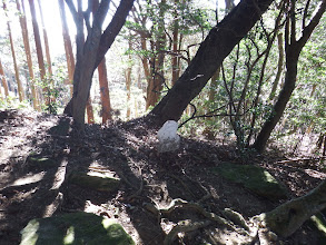 蜂ヶ峯神社の右手から山頂に