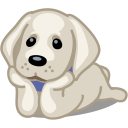 Cute Puppies of The Day Chrome extension download