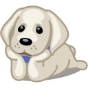 Cute Puppies of The Day Chrome extension download