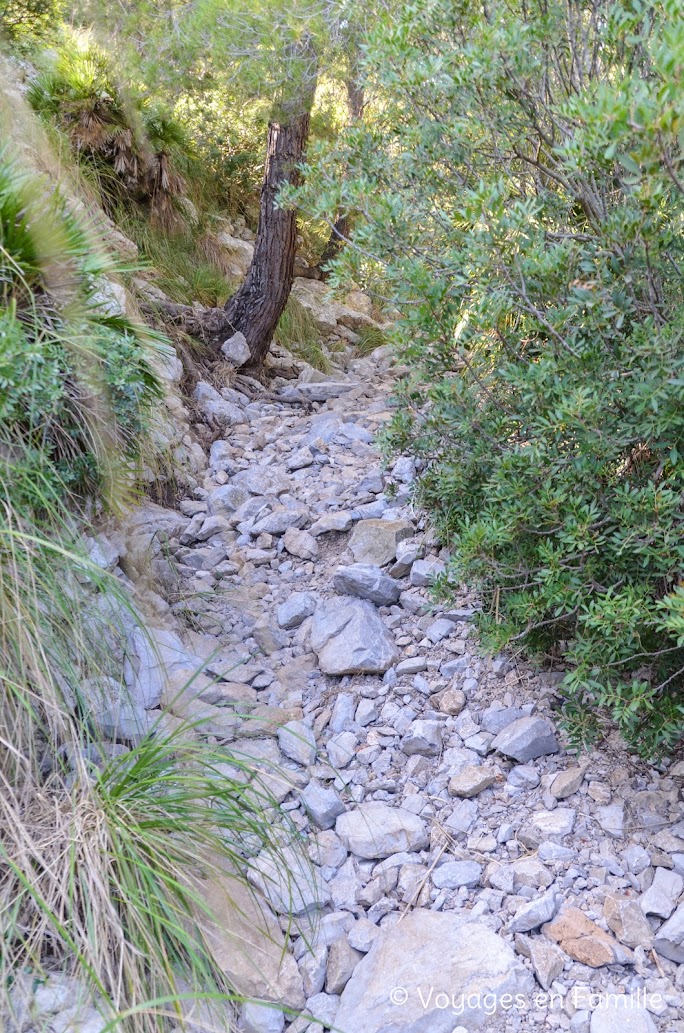 talaia alcudia, descente coll baix, sentier foret